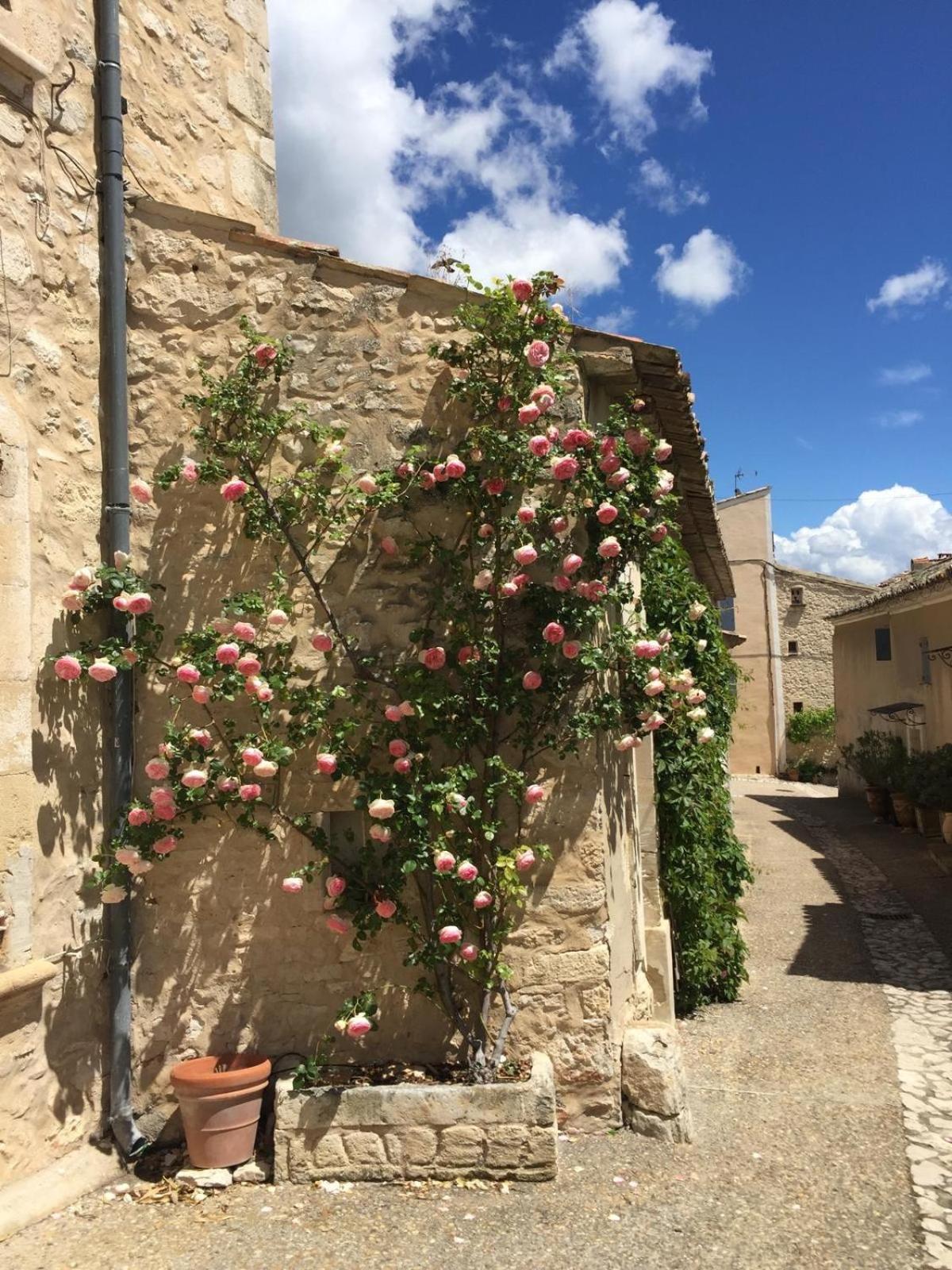 Lovely Views In Secret Provence Joucas Buitenkant foto